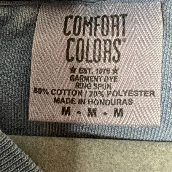 “Feelin Phippsy Sweatshirt Comfort Colors- “feeling phillipsy” - Picture 4 of 4